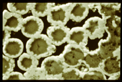 Flexsil silica-mesh foundry filter